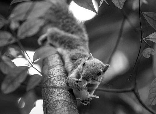 攻击网站服务器