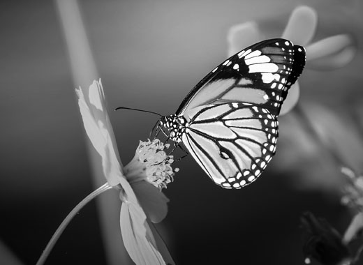 ddos在线压力测试平台